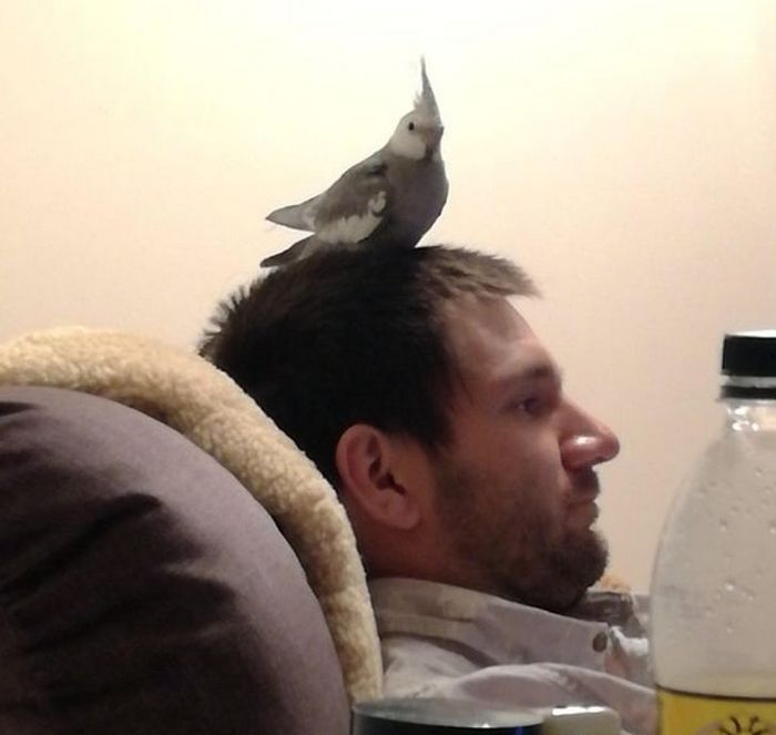 19 fotos que provam que a ligação entre humanos e animais é mais forte do que a super cola 12