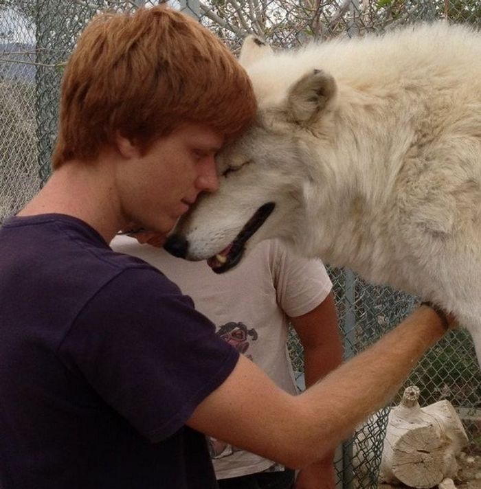 19 fotos que provam que a ligação entre humanos e animais é mais forte do que a super cola 13