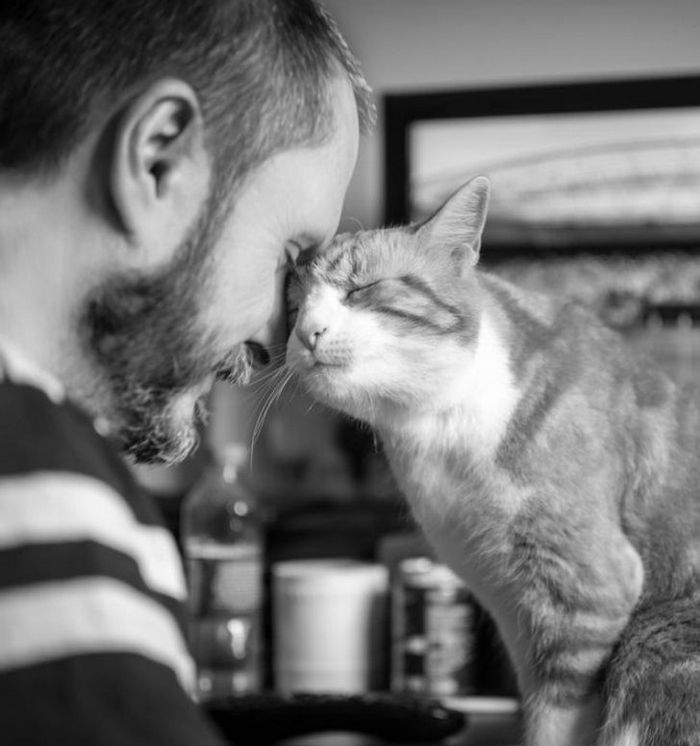 19 fotos que provam que a ligação entre humanos e animais é mais forte do que a super cola 16