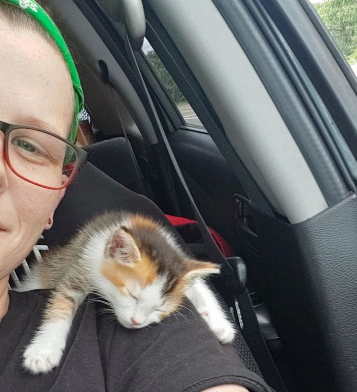 19 fotos que provam que a ligação entre humanos e animais é mais forte do que a super cola 18