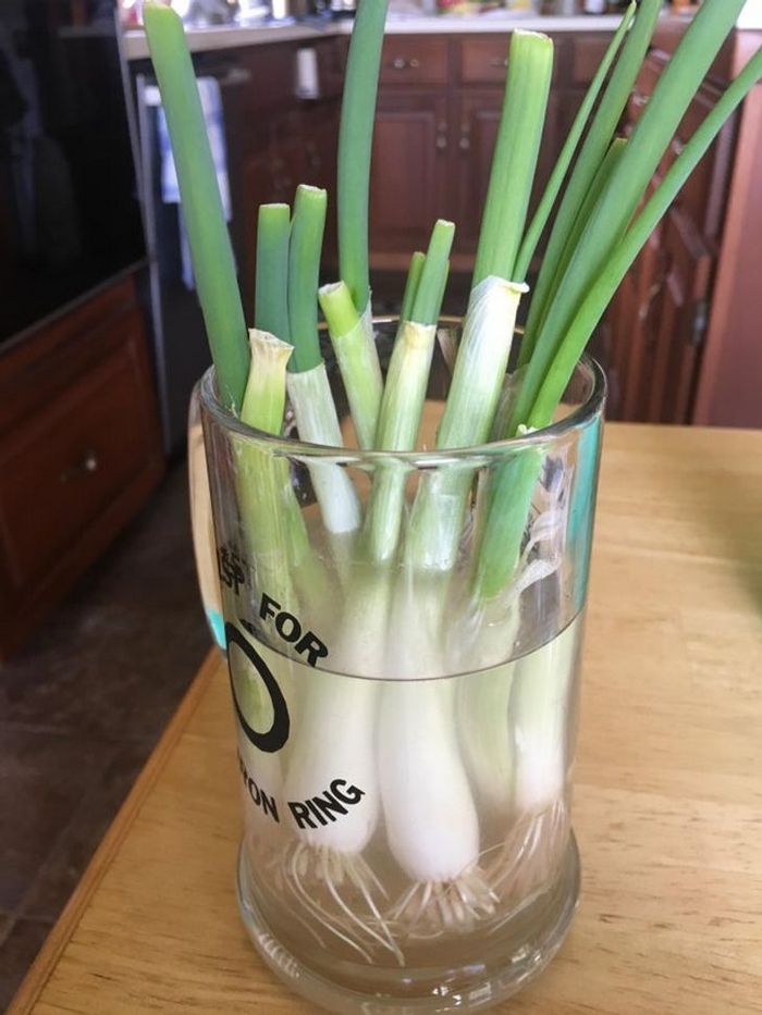 20 invenções caseiras para problemas do dia dia 16