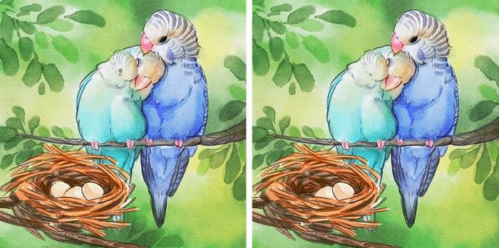 Jogo do erro: Teste sua capacidade de observação e encontra as 3 diferenças nas imagens 9