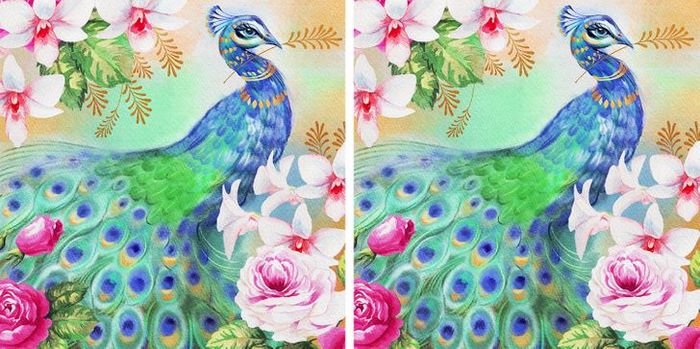 Jogo do erro: Teste sua capacidade de observação e encontra as 3 diferenças nas imagens 23