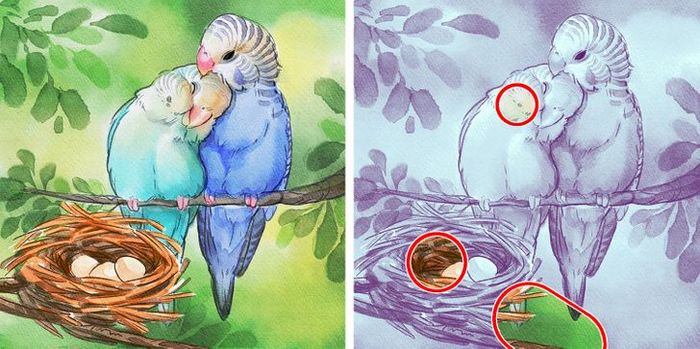 Jogo do erro: Teste sua capacidade de observação e encontra as 3 diferenças nas imagens 10