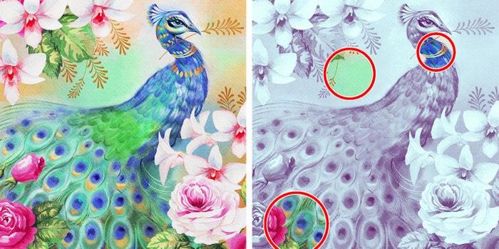 Jogo do erro: Teste sua capacidade de observação e encontra as 3 diferenças nas imagens 24