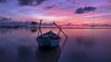 50 pensamentos de calmaria perfeitas para dar uma pausa na rotina 10