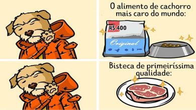 15 quadrinhos mostram como é viver com seu parceiro e seu cachorro 9