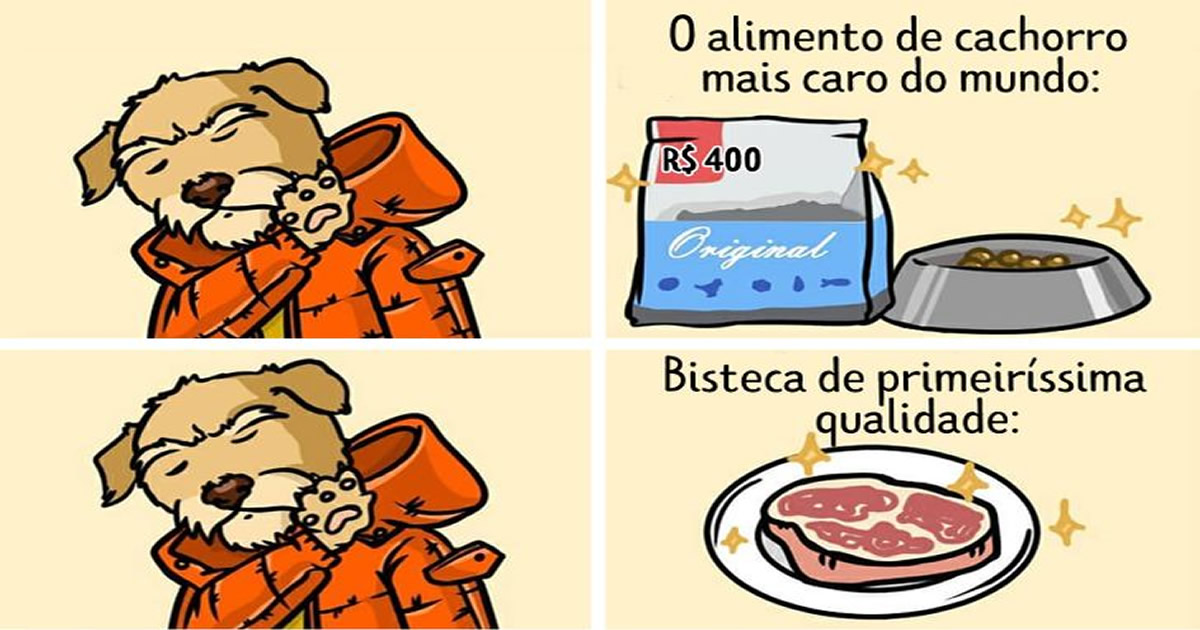 15 quadrinhos mostram como é viver com seu parceiro e seu cachorro