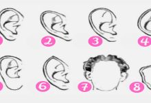 Qual é o formato de suas orelhas? 10