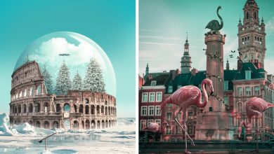 Artista digital cria imagens mágicas e surreais de arquitetura e fragmentos da natureza (42 fotos) 10