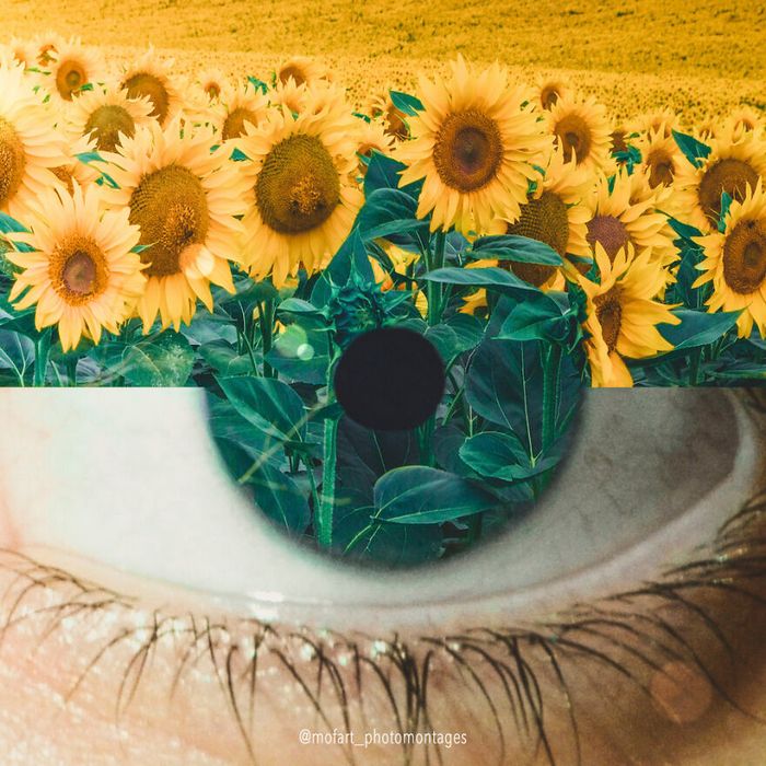 As incríveis fotomontagens surreais da Monica Carvalho (32 fotos) 4