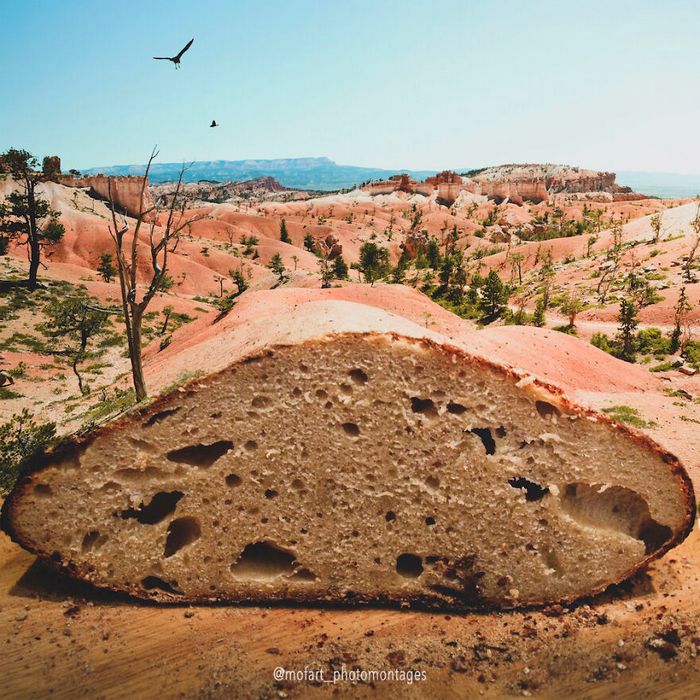 As incríveis fotomontagens surreais da Monica Carvalho (32 fotos) 24