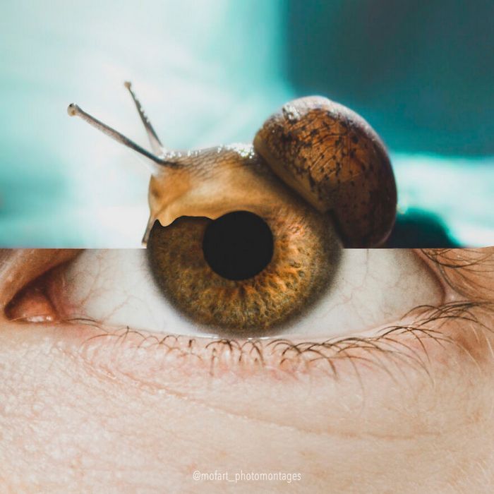 As incríveis fotomontagens surreais da Monica Carvalho (32 fotos) 27