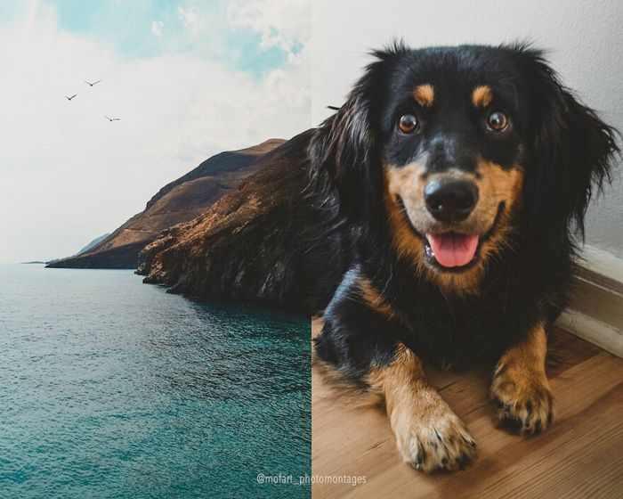 As incríveis fotomontagens surreais da Monica Carvalho (32 fotos) 30