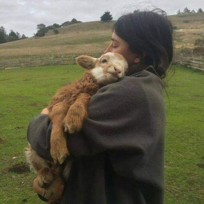 Conta do Instagram com fotos de animais fofos e engraçados (51 fotos) 4