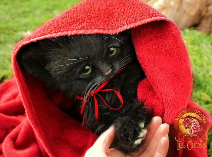 Esta artista faz esculturas de animais em madeira e pele sintética (38 fotos) 4