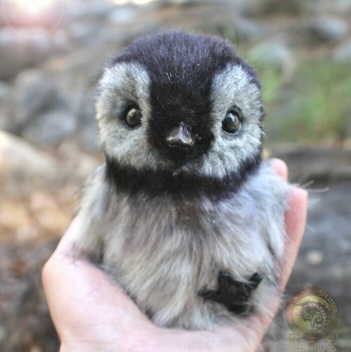 Esta artista faz esculturas de animais em madeira e pele sintética (38 fotos) 10