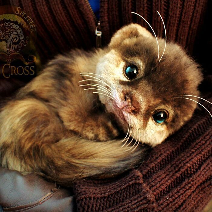 Esta artista faz esculturas de animais em madeira e pele sintética (38 fotos) 15