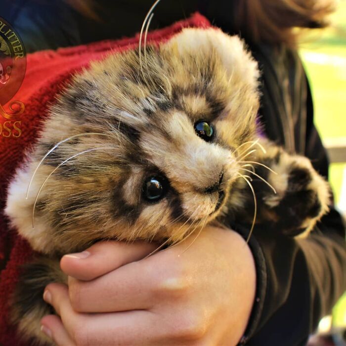 Esta artista faz esculturas de animais em madeira e pele sintética (38 fotos) 18