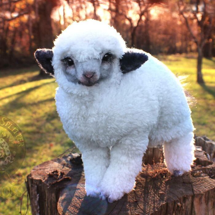 Esta artista faz esculturas de animais em madeira e pele sintética (38 fotos) 21