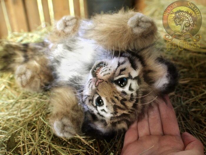 Esta artista faz esculturas de animais em madeira e pele sintética (38 fotos) 23