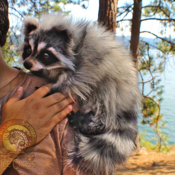 Esta artista faz esculturas de animais em madeira e pele sintética (38 fotos) 34