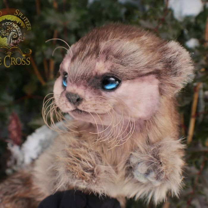 Esta artista faz esculturas de animais em madeira e pele sintética (38 fotos) 38