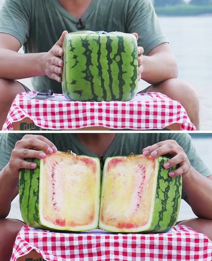 25 fatos que provam que o Japão é um país de outro planeta 2