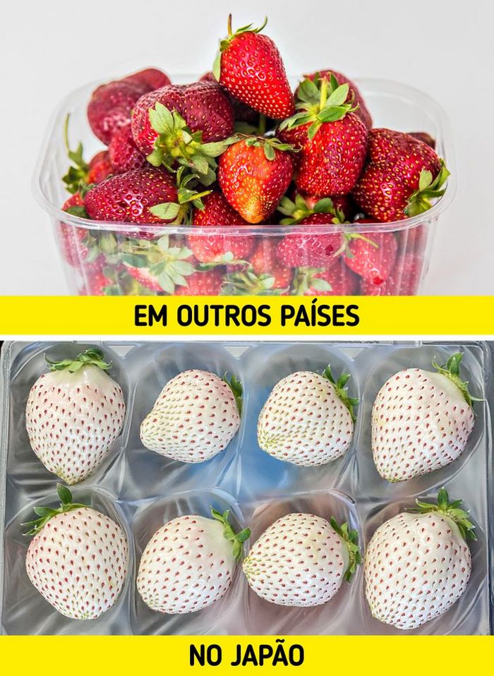 25 fatos que provam que o Japão é um país de outro planeta 3