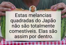 25 fatos que provam que o Japão é um país de outro planeta 30