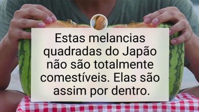 25 fatos que provam que o Japão é um país de outro planeta 12