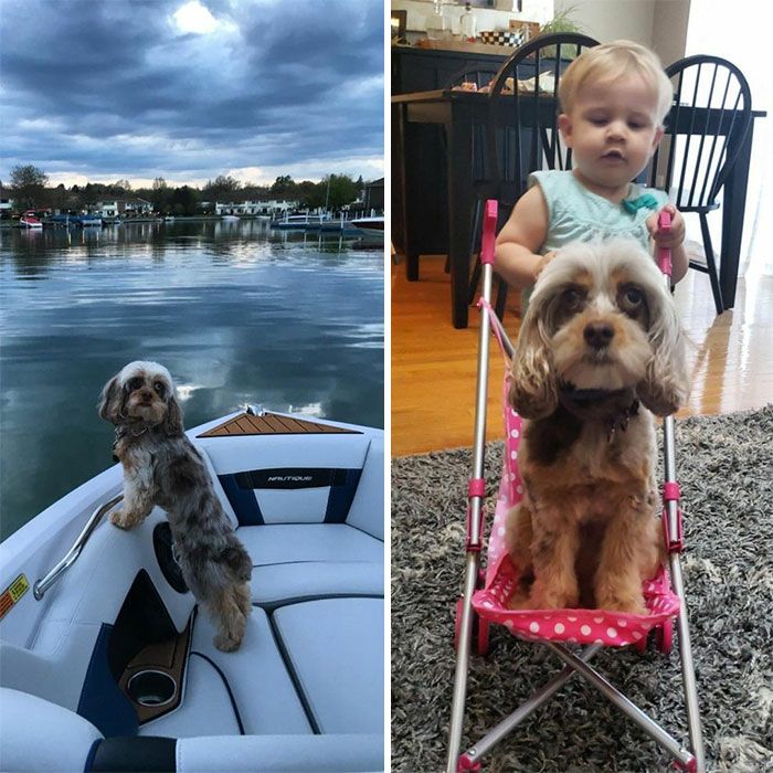 46 fotos hilárias de antes e depois de como a vida muda depois de ter filhos 1