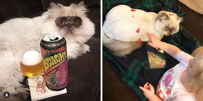 46 fotos hilárias de antes e depois de como a vida muda depois de ter filhos 7