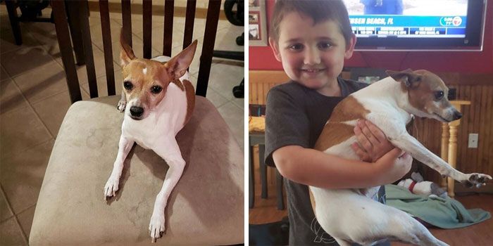 46 fotos hilárias de antes e depois de como a vida muda depois de ter filhos 18