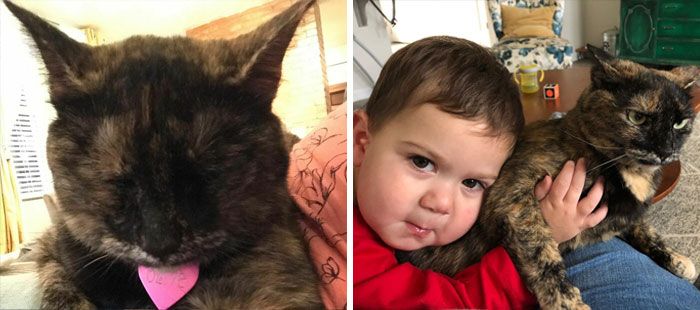 46 fotos hilárias de antes e depois de como a vida muda depois de ter filhos 19