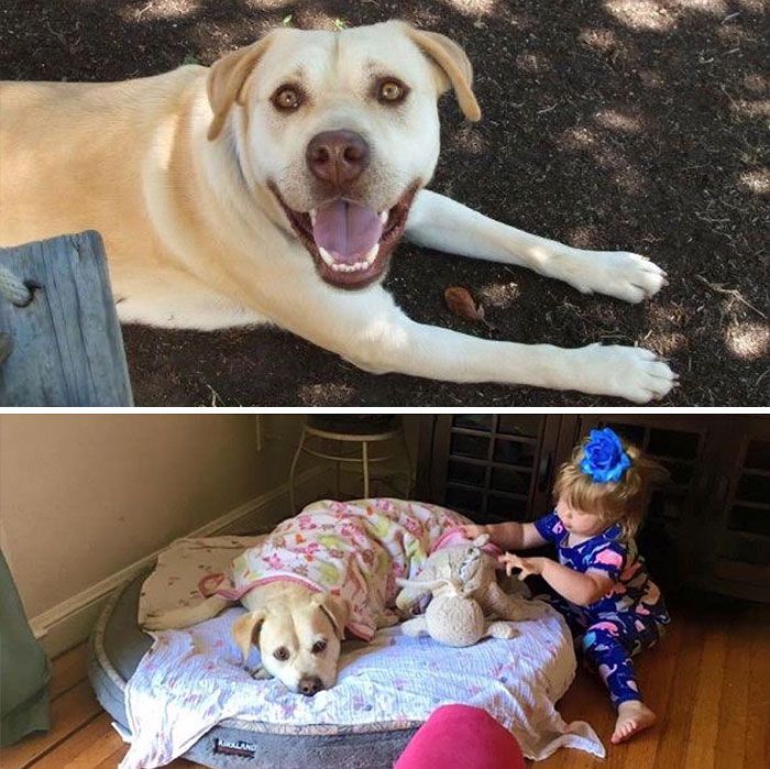 46 fotos hilárias de antes e depois de como a vida muda depois de ter filhos 22