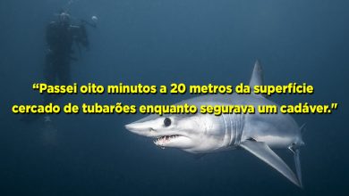 25 histórias de experiências mais assustadoras de mergulhadores 10