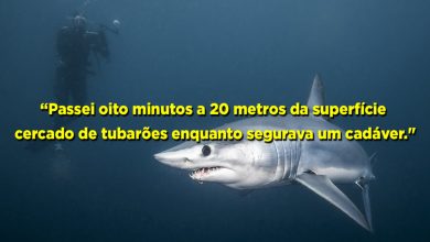 25 histórias de experiências mais assustadoras de mergulhadores 5