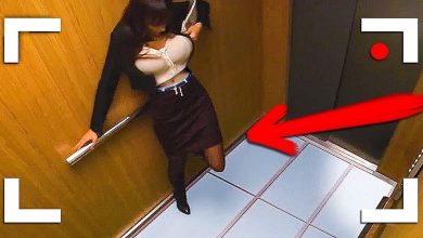 Se não fosse filmado, ninguém acreditaria 6