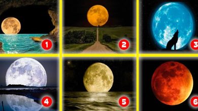 Teste espiritual: Descubra o caminho que você escolheu na vida 38