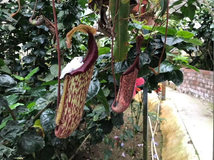 19 pessoas por falta de educação superou todos os limites 4