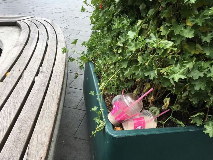 19 pessoas por falta de educação superou todos os limites 11