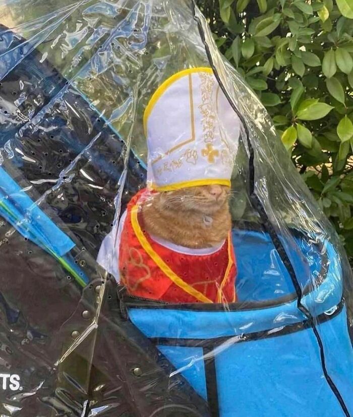 A página Eu quero sair do Instagram reúne fotos que levantam dúvidas (44 fotos) 3