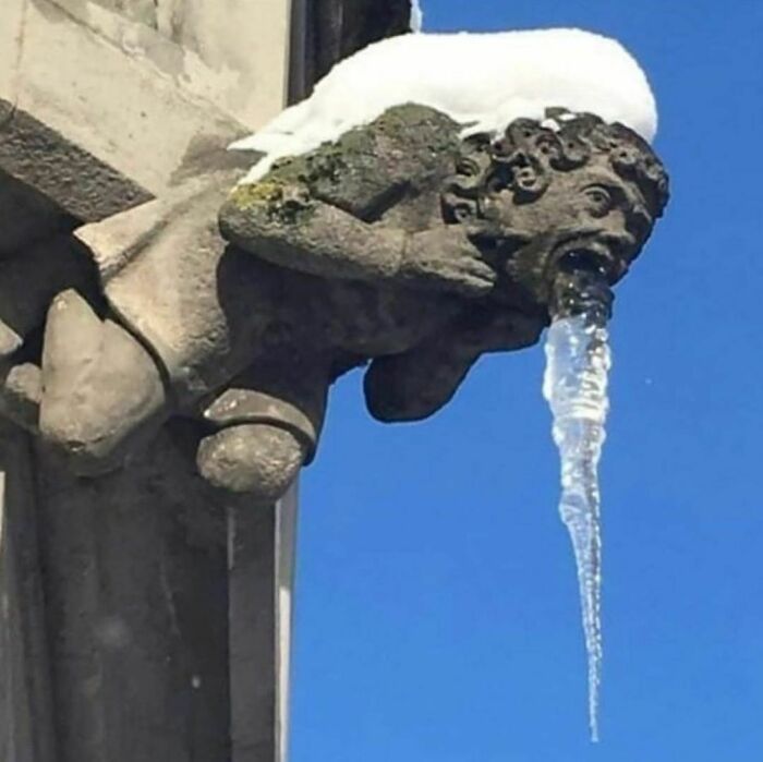 A página Eu quero sair do Instagram reúne fotos que levantam dúvidas (44 fotos) 12