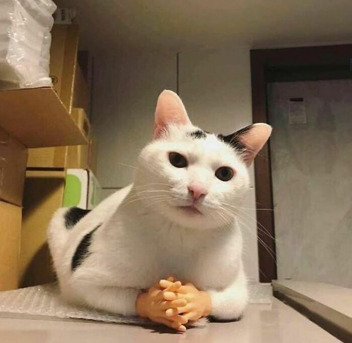 A página Eu quero sair do Instagram reúne fotos que levantam dúvidas (44 fotos) 19