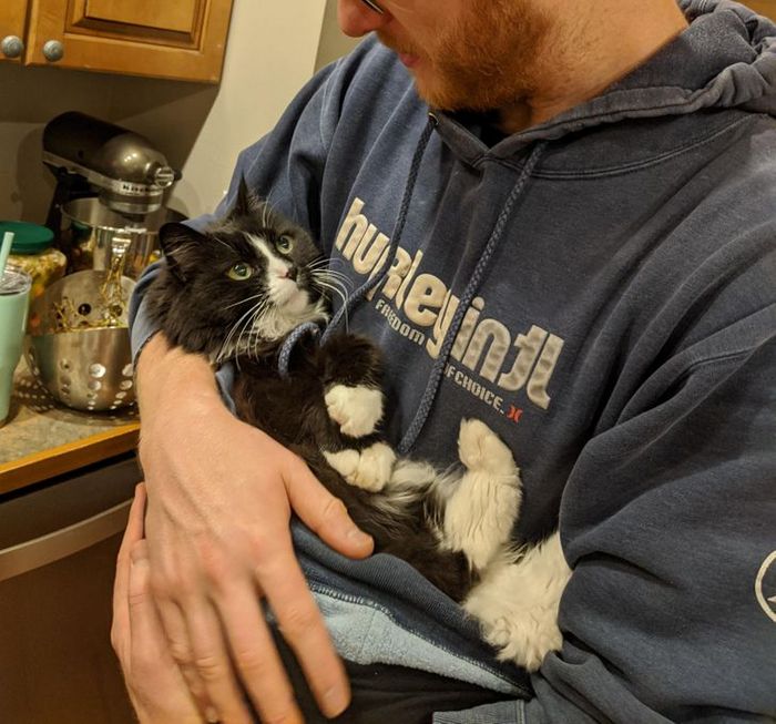 15 animais de estimação que não têm ideia de como são adoráveis 13