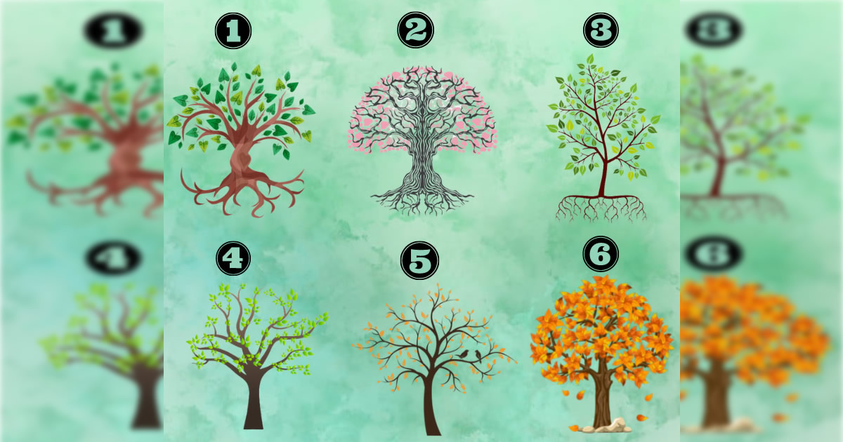 Escolha uma árvore e descubra características da sua personalidade 45