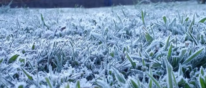 22 fenômenos naturais, quantas você já presenciou? 4