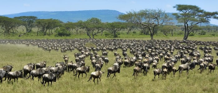 22 fenômenos naturais, quantas você já presenciou? 14