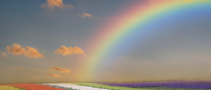 22 fenômenos naturais, quantas você já presenciou? 20